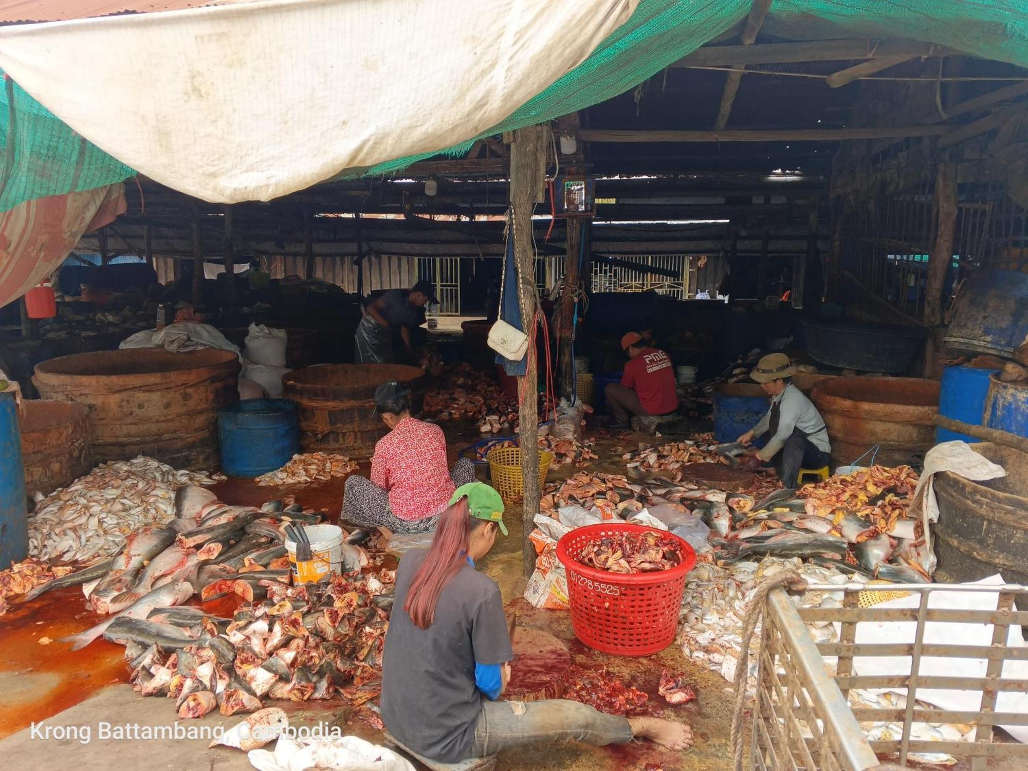 Family Batcave Homestay Battambang Eksteriør bilde