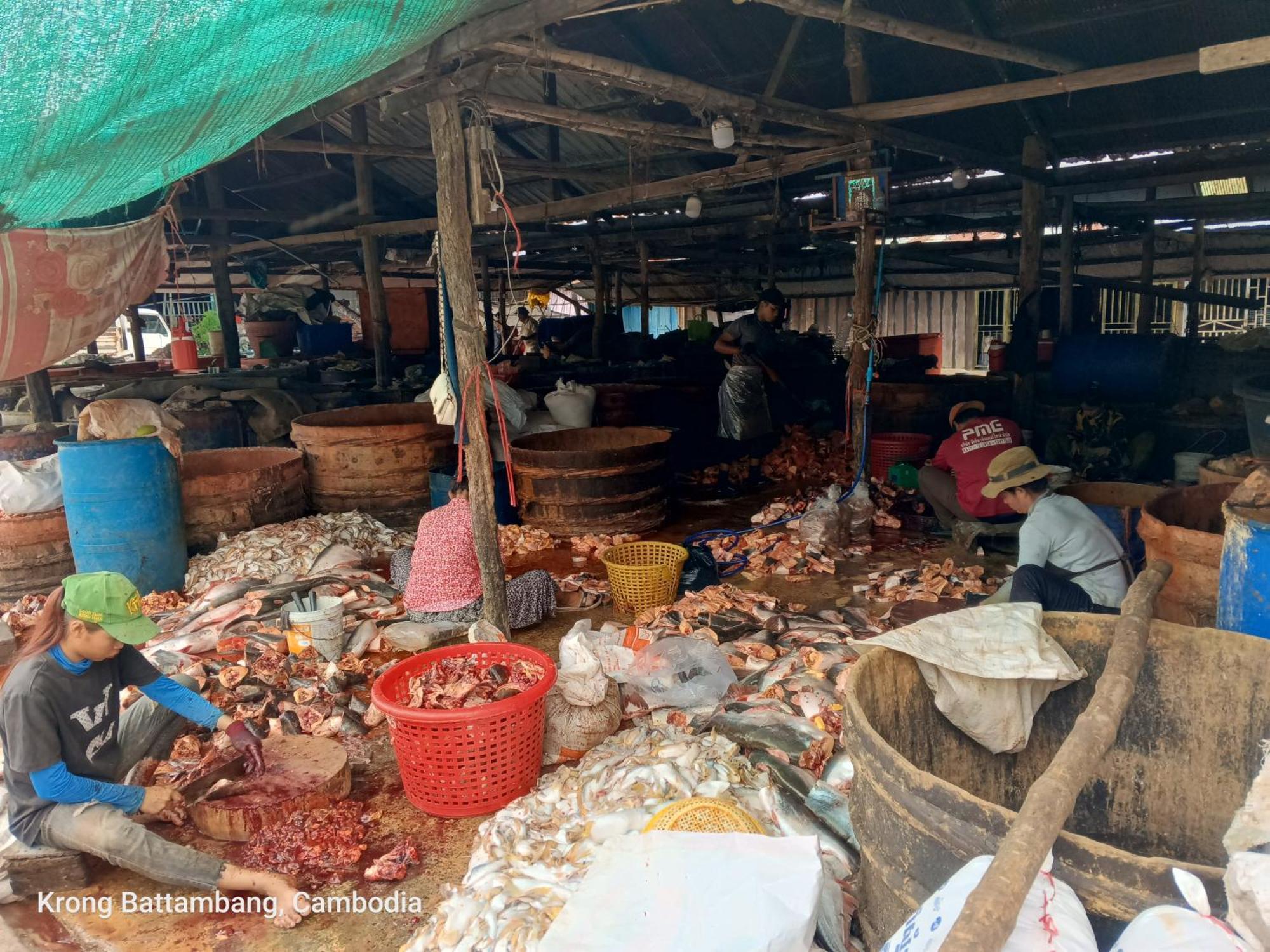 Family Batcave Homestay Battambang Eksteriør bilde